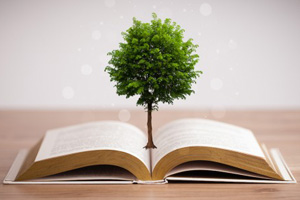 Генетики ведут разработки модифицированных деревьев для бумаги и топлива